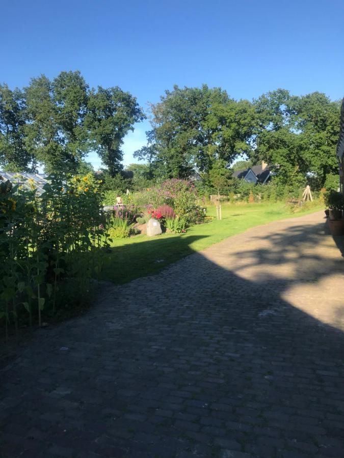 Vries Assen-Groningen-Saunacabine מראה חיצוני תמונה